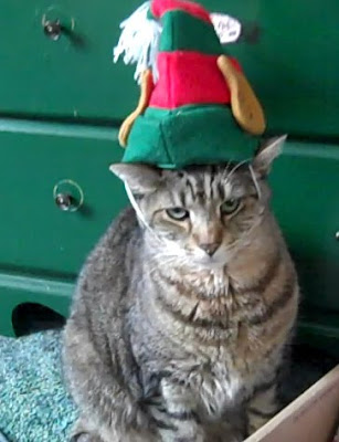 Santa Hat Seen On www.coolpicturegallery.us