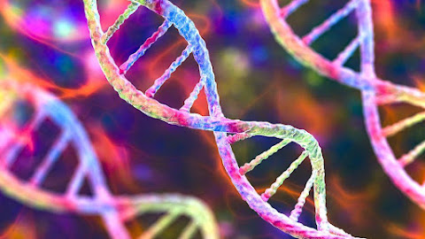 Beyond the Genome: The Intriguing World of Epigenetics