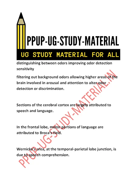 Structure and Function of Brain | ppup part 1 psychology subsidiary ug study material download pdf