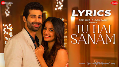 Tu Hai Sanam Song Lyrics | Mahima Makwana, Aashim Gulati | Stebin Ben, Sameer H, Kumaar