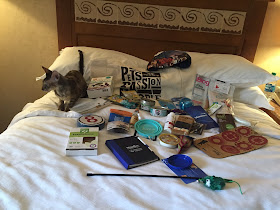 Coco, the Cornish Rex, checking out the BlogPaws Swag