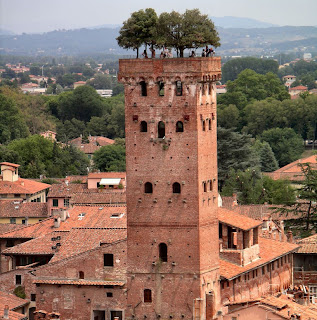 Torre guinigi con lecci