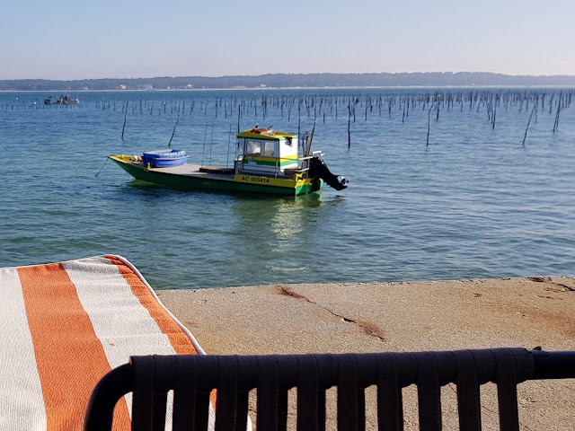 Oyster farming Cap Ferret