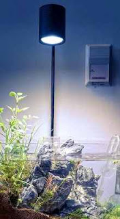 15 Watt Freshwater Rimless Aquarium Light