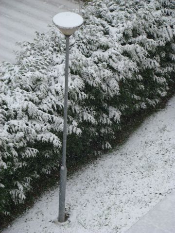 a nevar :)