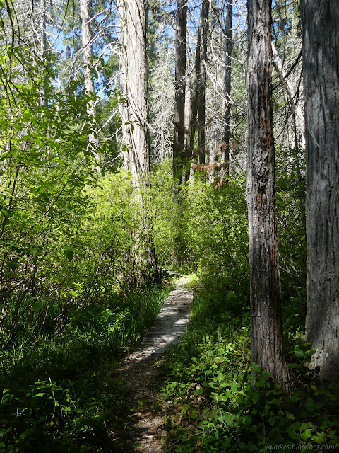 27: boards for trail