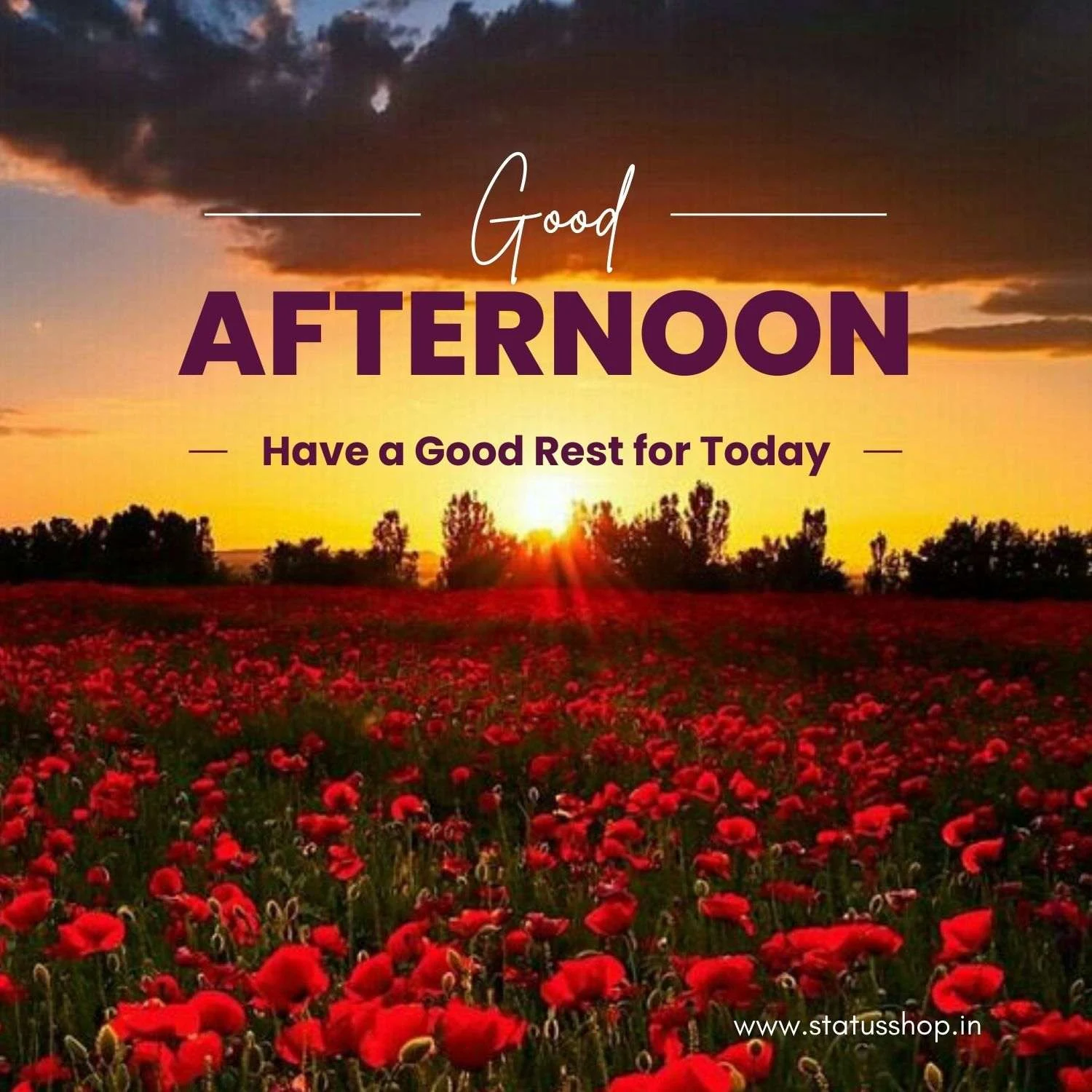 Best-Good Afternoon-Quotes