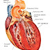 Serangan Jantung, Bagimana Penanganan Tepatnya?