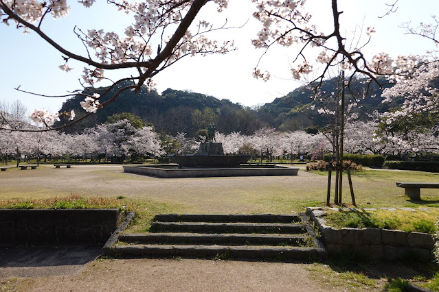 鳥取県米子市西町　港山公園　満開のソメイヨシノ桜の風景
