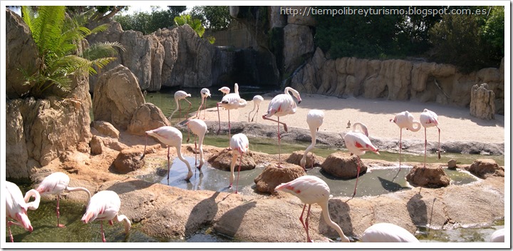 Bioparc-Valencia-Madagascar-01