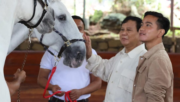 Gibran Kantongi Dukungan Prabowo bila Ingin Maju ke DKI-1