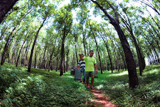 YUK Lestarikan Lingkungan dengan Menjaga Hutan Sosial