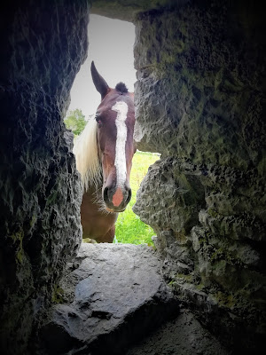 Askeaton Limerick