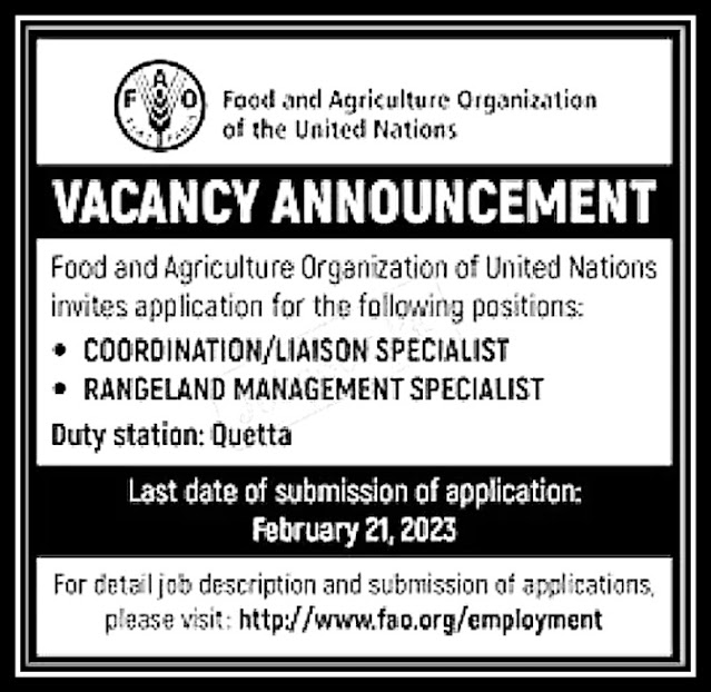 Food and Agriculture Organization FAO Jobs 2023 | www.nokripao.com
