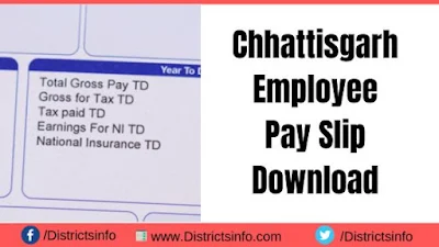 Chhattisgarh Employee Pay Slip