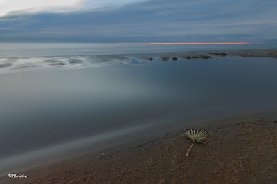 amanecer en el Carraixet