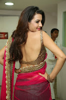 Deeksha Panth Hot Image in Pink Half-Saree