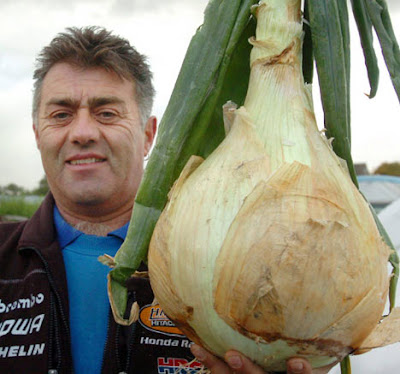 Huge Onion