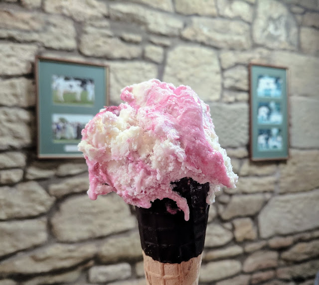 30 Things to Do in Amble  - morwick dairy ice cream