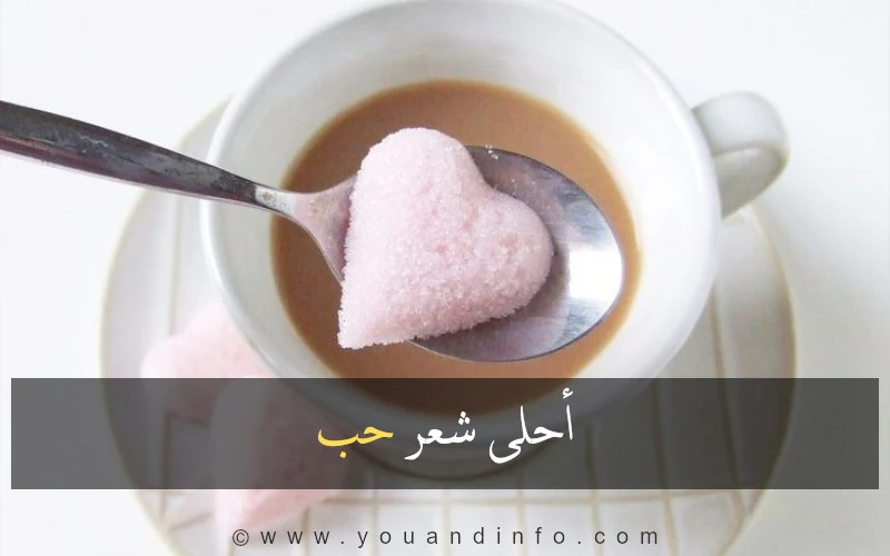 احلى شعر حب وعشق