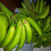 Banana is Good For Ulcer patients