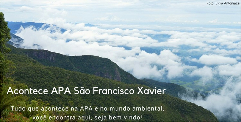 Blog Acontece APA São Francisco Xavier