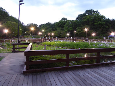 山田池公園・花しょうぶ園のライトアップ