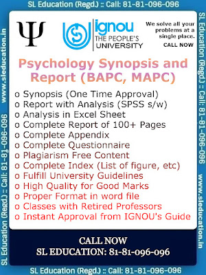 Psychology Synopsis and Report (BAPC, MAPC) Call: 81-81-096-096