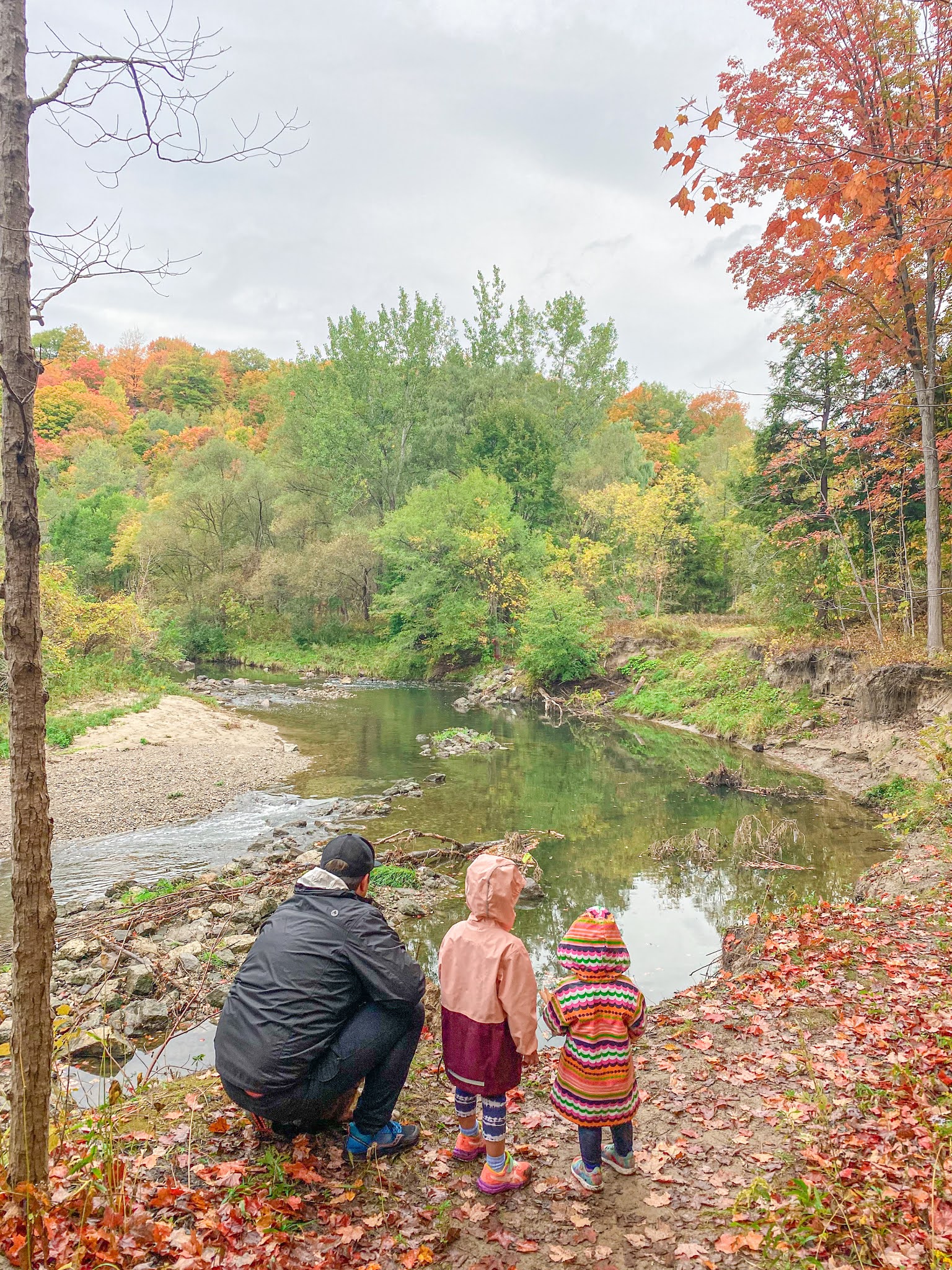 Where to See the Salmon Run in the Greater Toronto Area