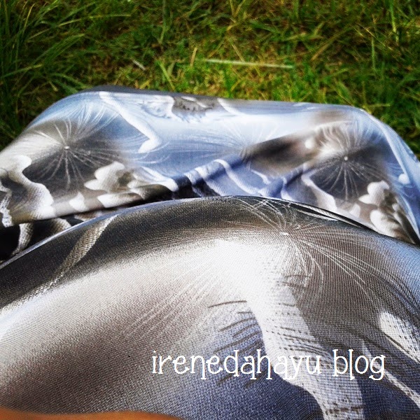 IreneDahayu Blog: Masalah ketika mengandung