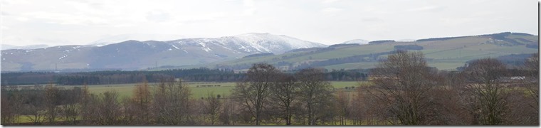DSC_0020