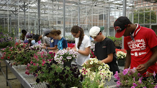 youth in greenhouse looking at flowers