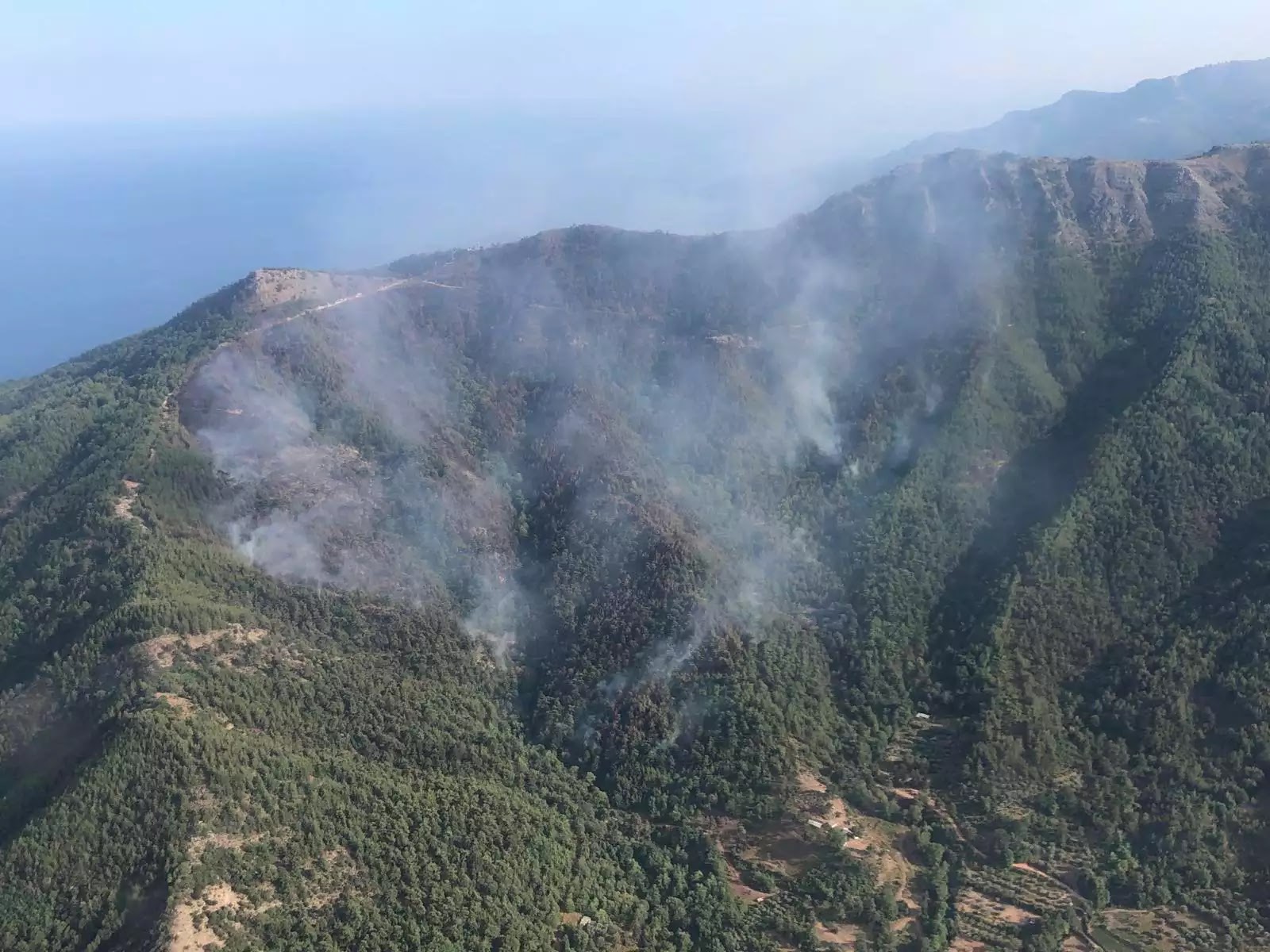 Υπό πλήρη έλεγχο η φωτιά στη Θάσο