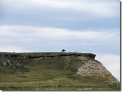 IMG_2967 IMG_2967