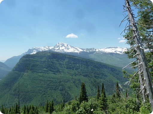 Going-To-The-Sun-Road 182