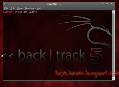 Desktop BackTrack 5