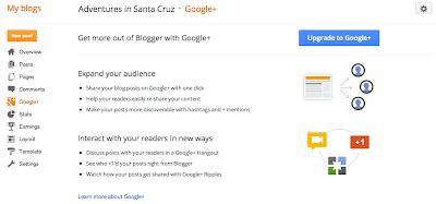 اضافة جوجل بلس فى لوحة تحكم بلوجر لتحسين مدونتك, قم بتفعيلها الآن