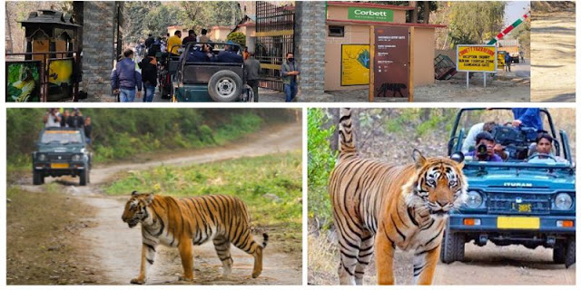 Jim Corbett National Park Safari Prices