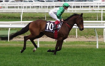 race 4_tristram's sun 2