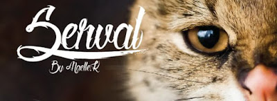 http://www.dafont.com/serval.font