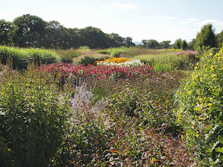 Sussex Prairies Garden. Amazing flowers and good example of garden design. Waves of beautiful perennial plants