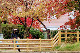 京都 長岡天満宮 紅葉