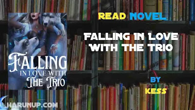 Falling In Love With The Trio Novel