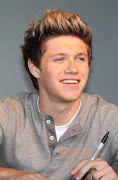 One Direction: NiallOne Direction (niall )