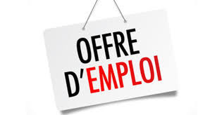 44 Offres d’Emploi sur Plusieurs Villes – N°9 2022