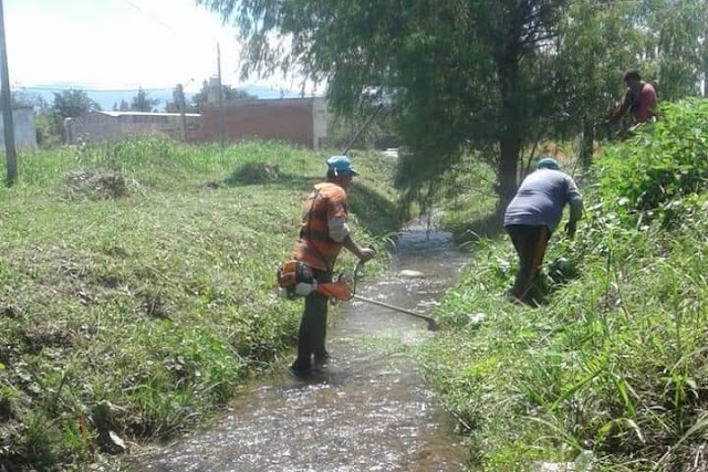 Siete Cooperativas de Trabajo desarrollaran tareas en distintos barrios de Palpalá