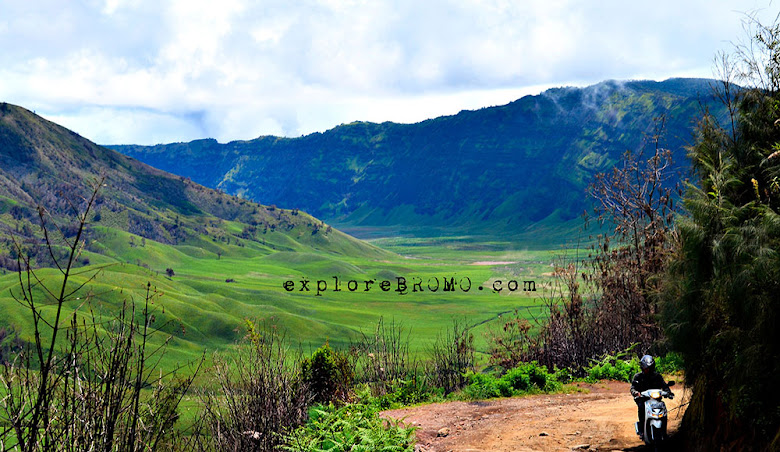 menuju gunung bromo melalui jalur jemplang - wisata alam jawa timur