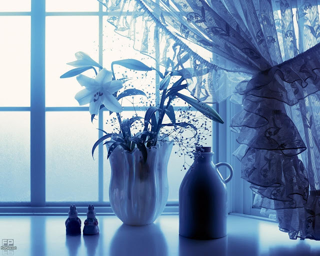 Flowers HD Desktop Wallpaper -02