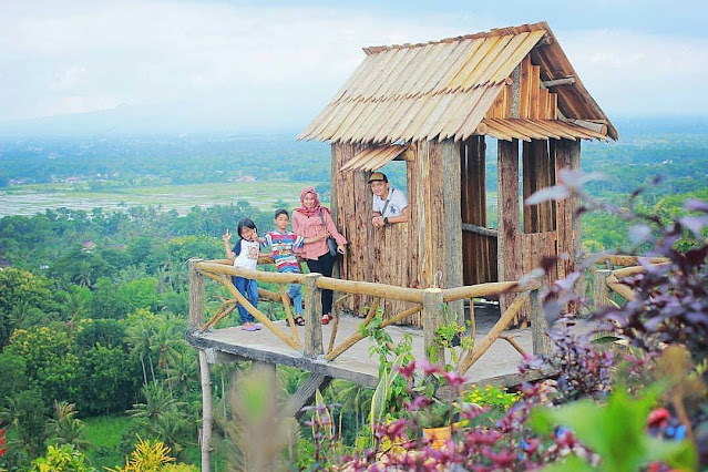 Lokasi Dan Tiket Masuk Bukit Bonsai Blitar Terbaru 2021