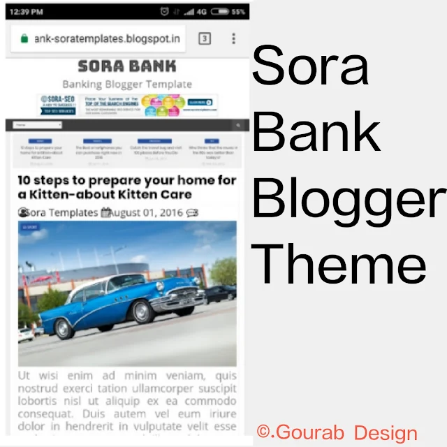 Sora bank blogger template image